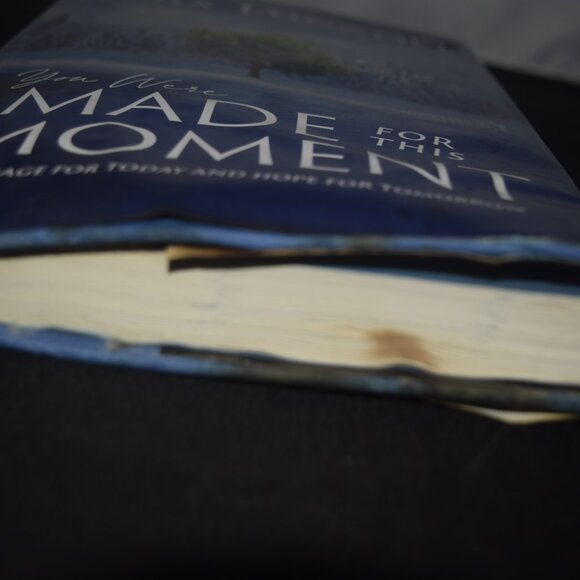You Were Made for This Moment: Courage for Today and Hope for Tomorrow by Max L. - Picture 2 of 5